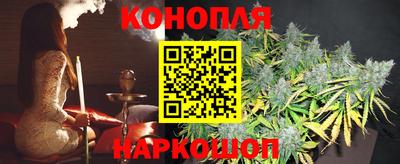гидропоника Можайск