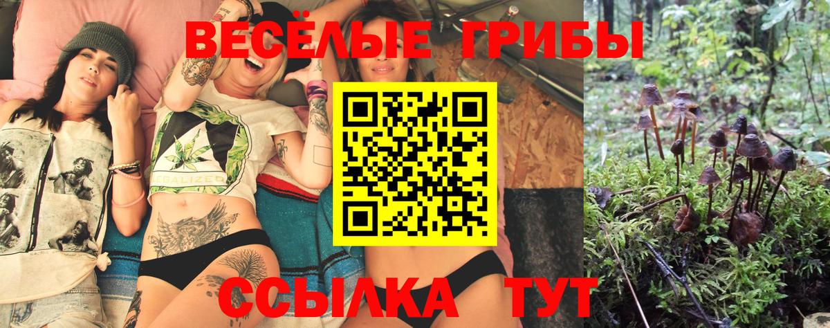 Галлюциногенные грибы Psilocybe  Псилоцибиновые грибы прущие грибы  Стрежевой  Вход с VPN 